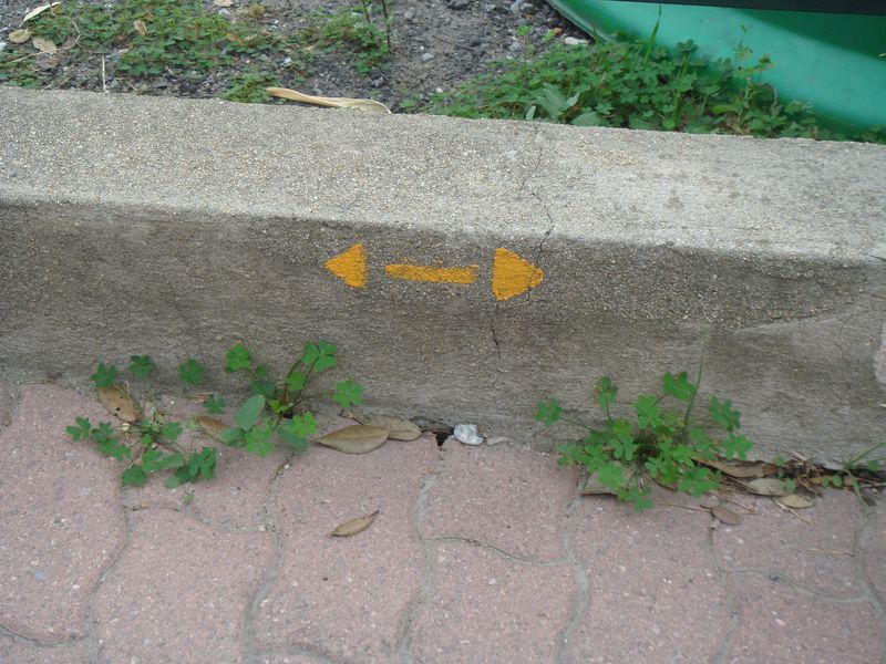 1411