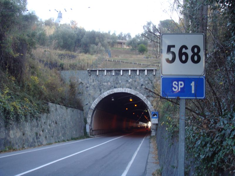 2393