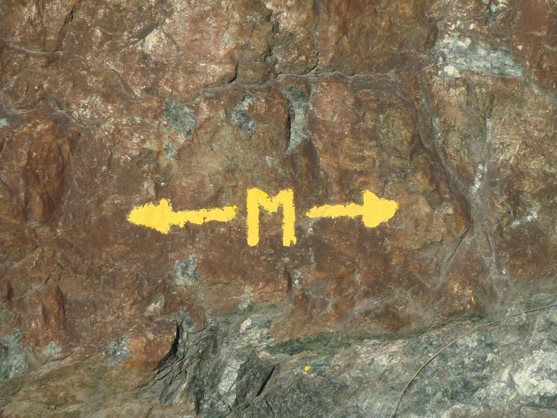 2431