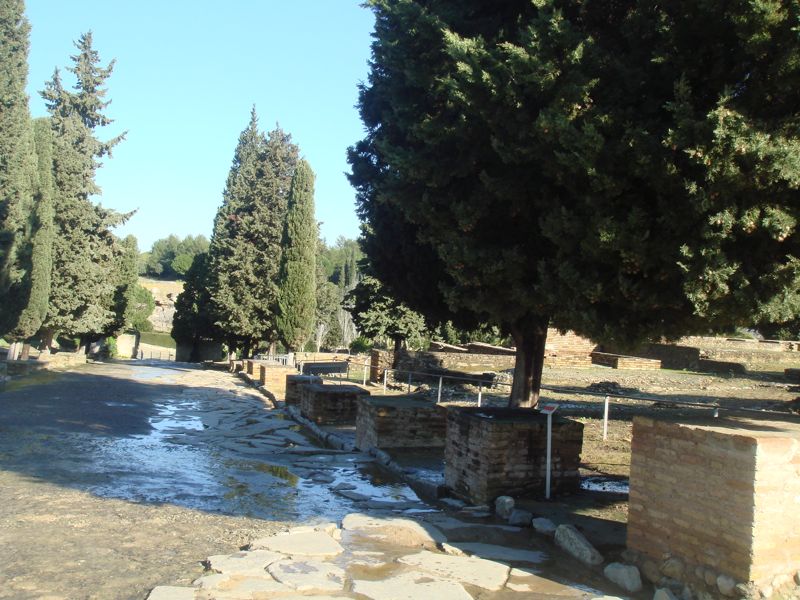 DSC06811
