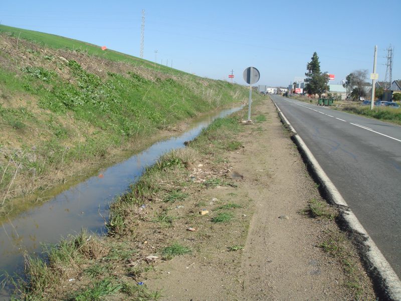 DSC06821