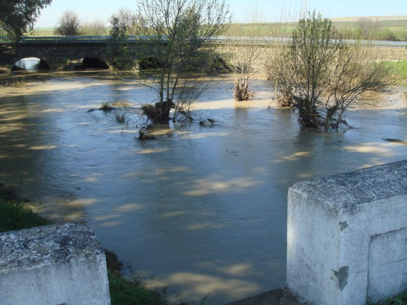 DSC06827