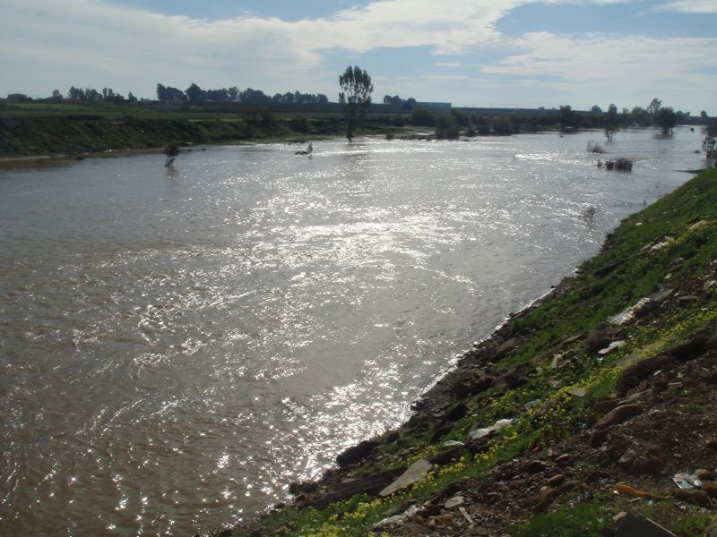 DSC06848