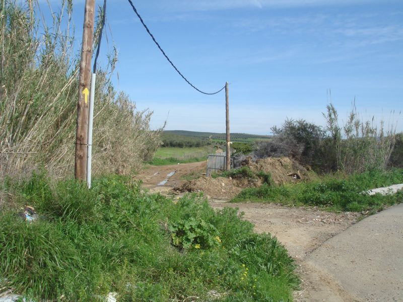 DSC06850