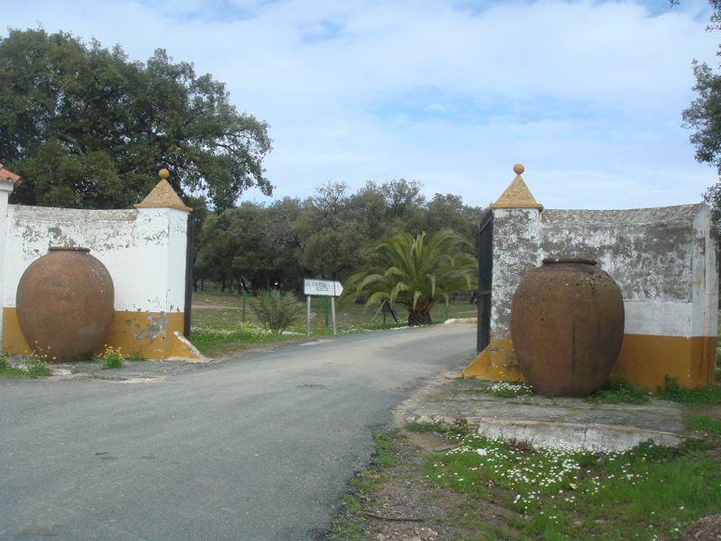 DSC06872