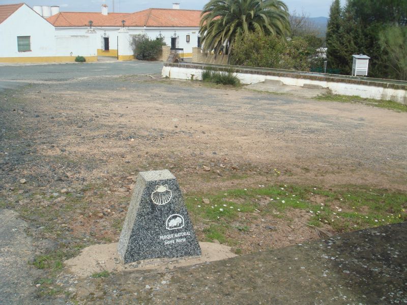 DSC06873