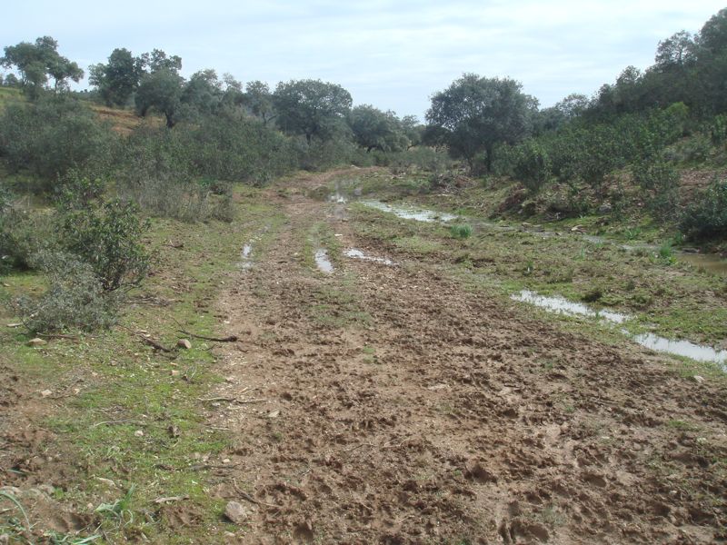 DSC06885