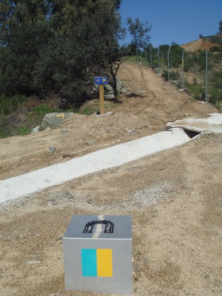 DSC06911