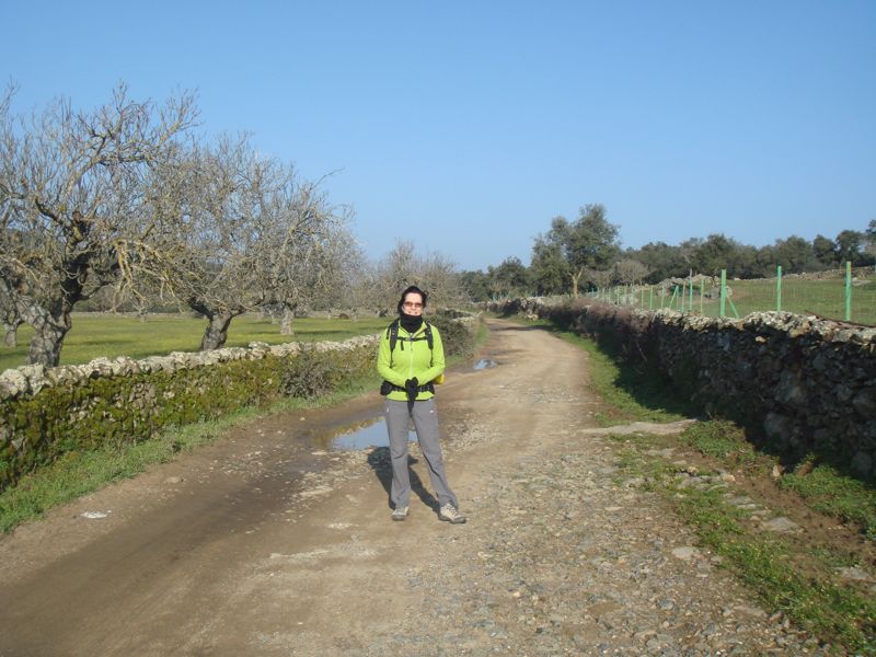 DSC06916