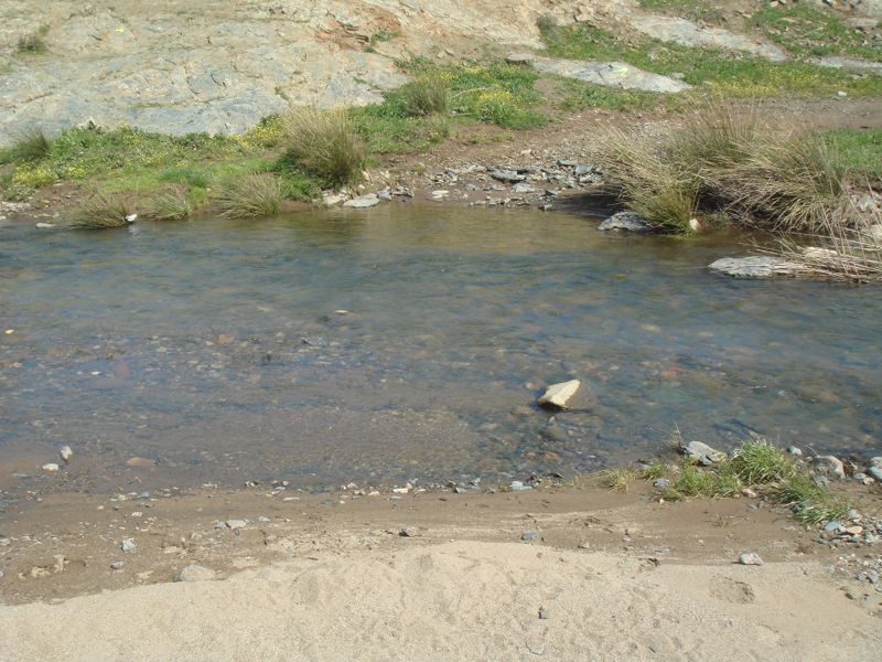 DSC06921