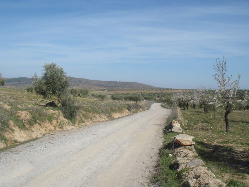 DSC06949
