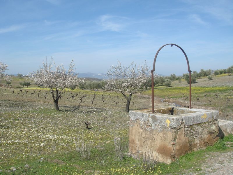 DSC06950