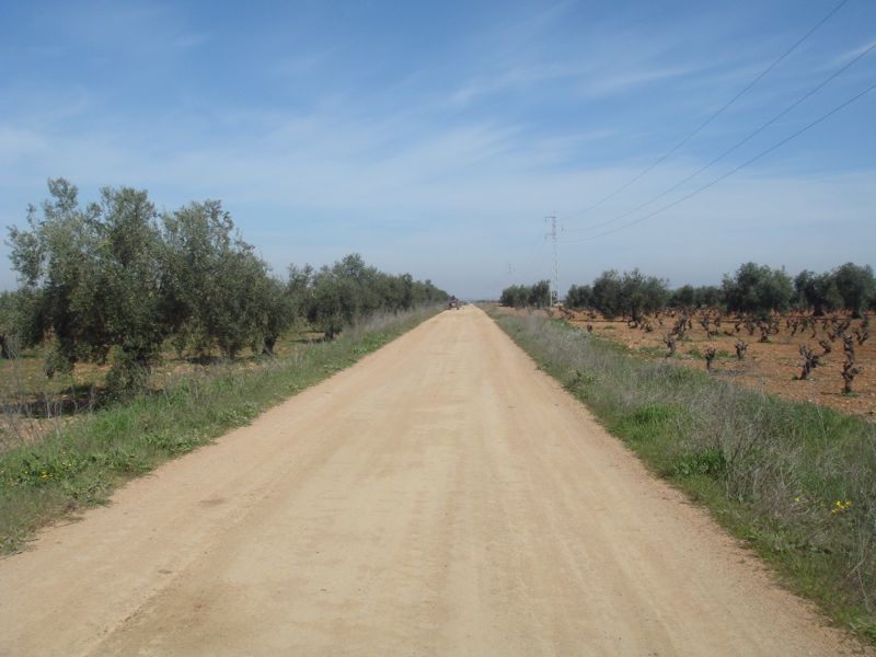 DSC06962