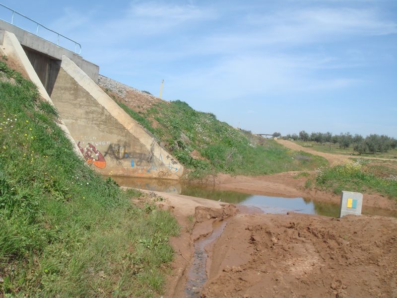 DSC06966