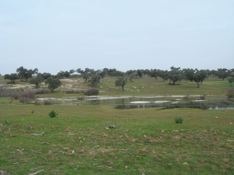 DSC06998
