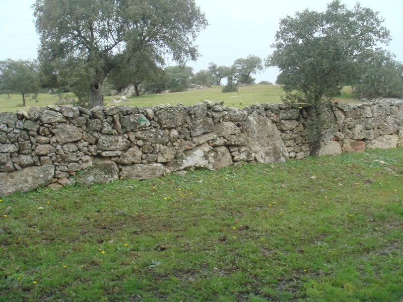 DSC07001