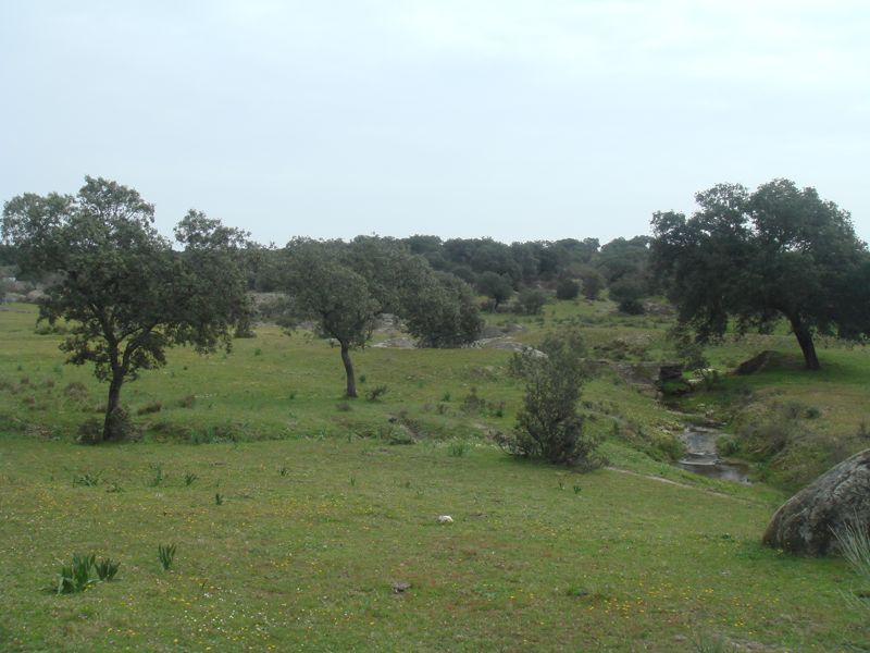 DSC07002