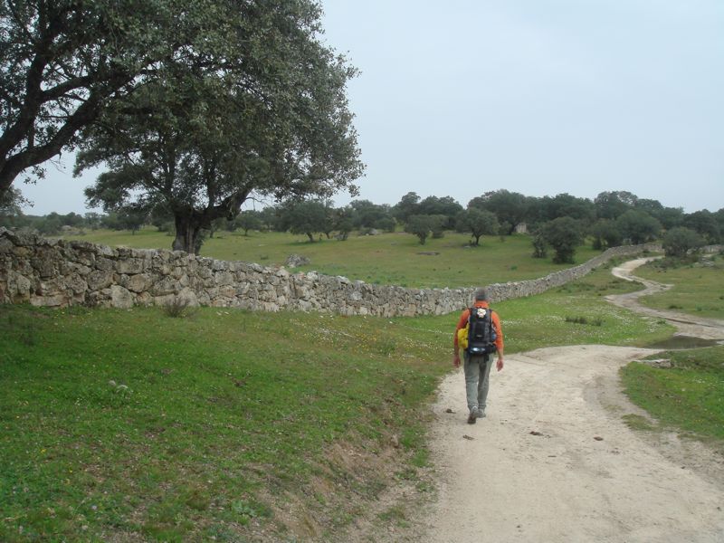 DSC07003
