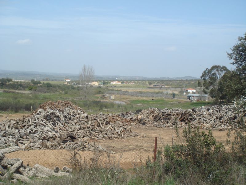 DSC07009