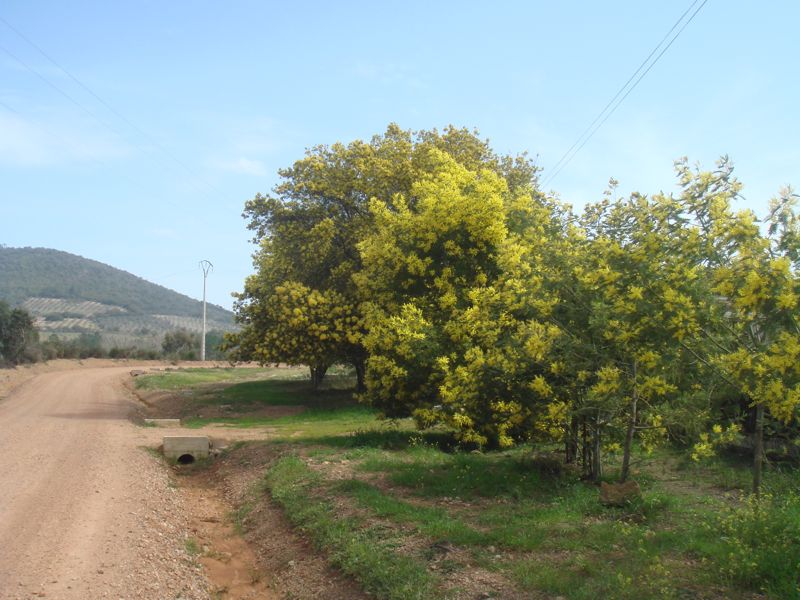 DSC07010