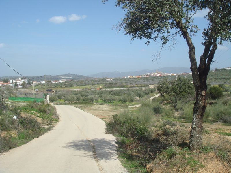 DSC07011