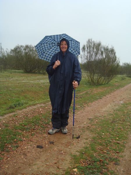DSC07014