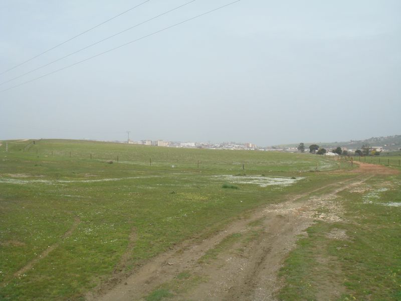 DSC07024