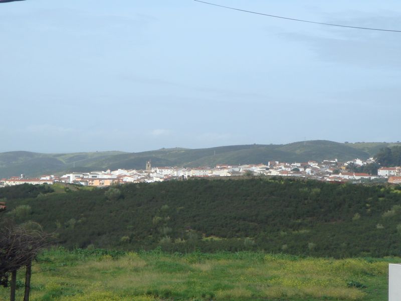 DSC07060