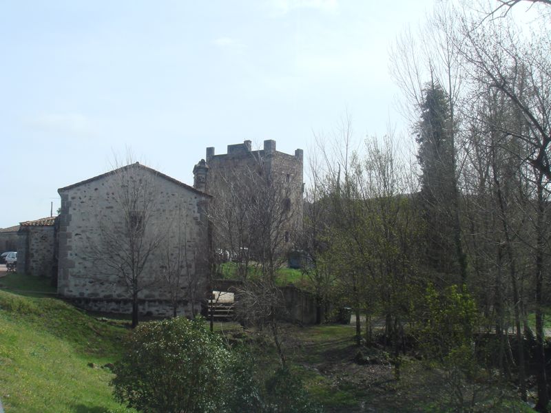 DSC07069