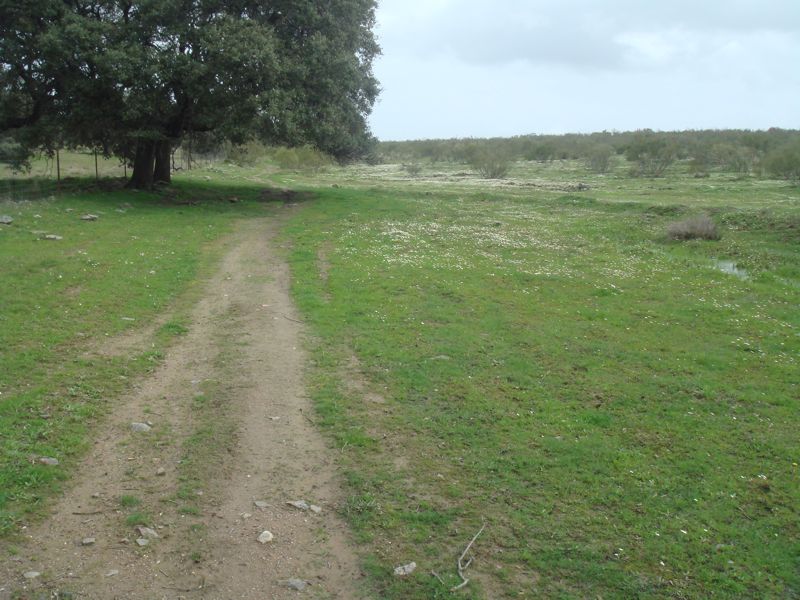 DSC07072