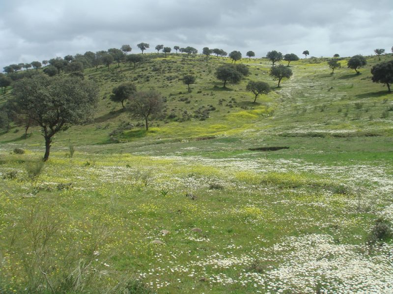 DSC07084