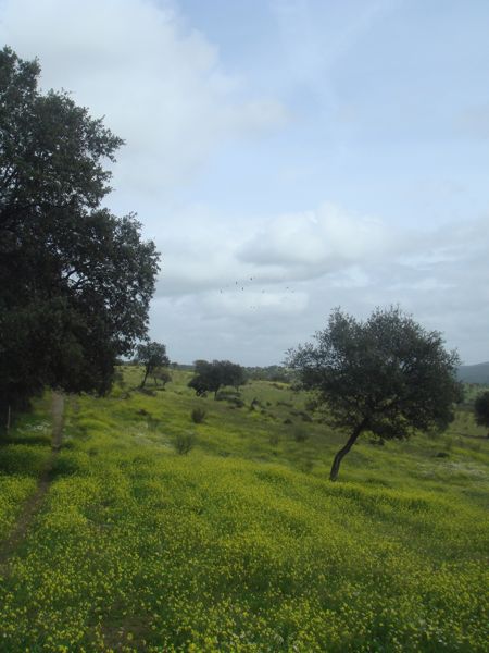 DSC07086