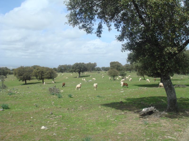 DSC07091