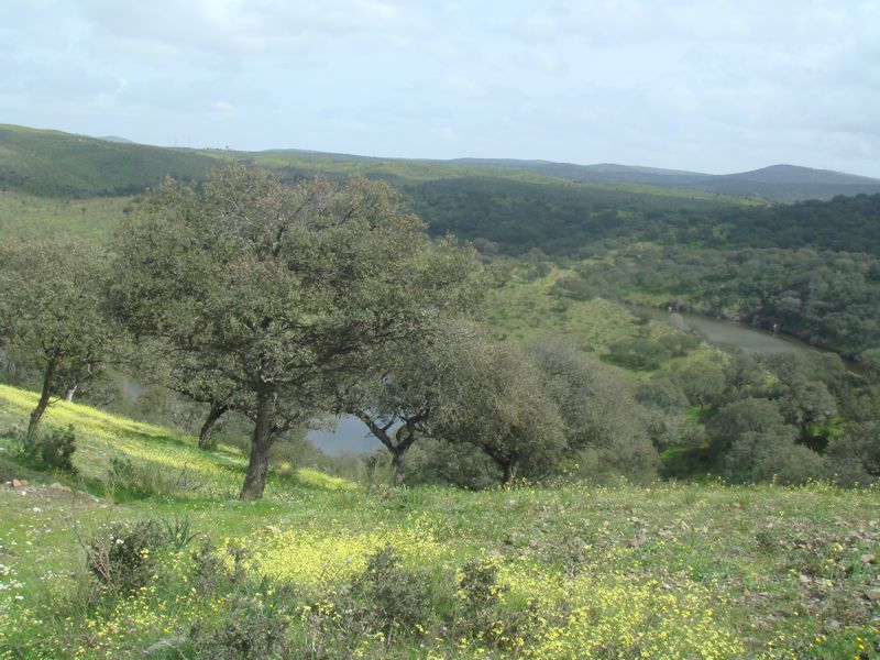 DSC07094