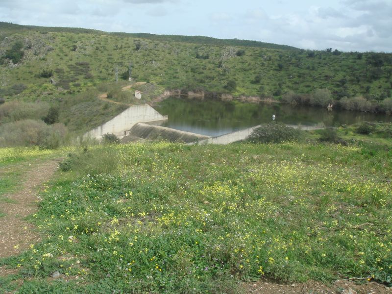 DSC07095