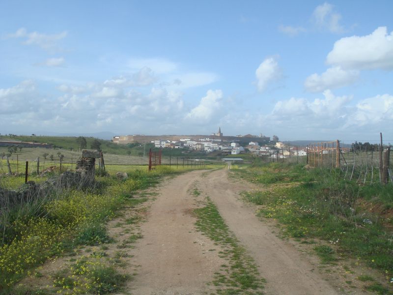 DSC07101