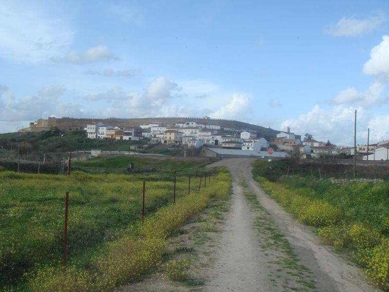 DSC07103
