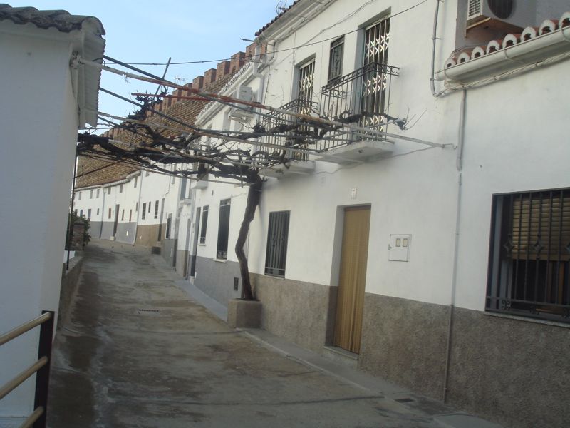 DSC07107