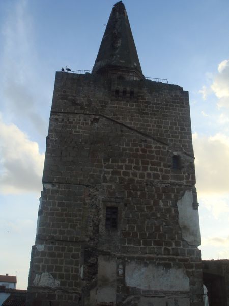 DSC07109