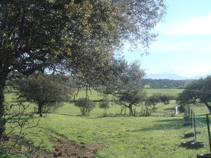 DSC07128