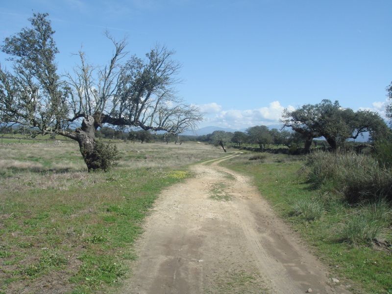 DSC07135