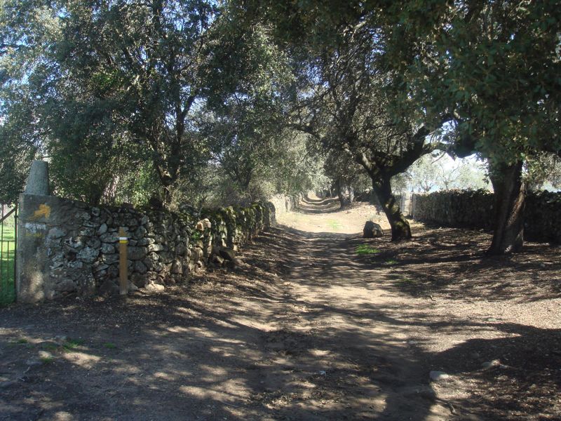 DSC07140