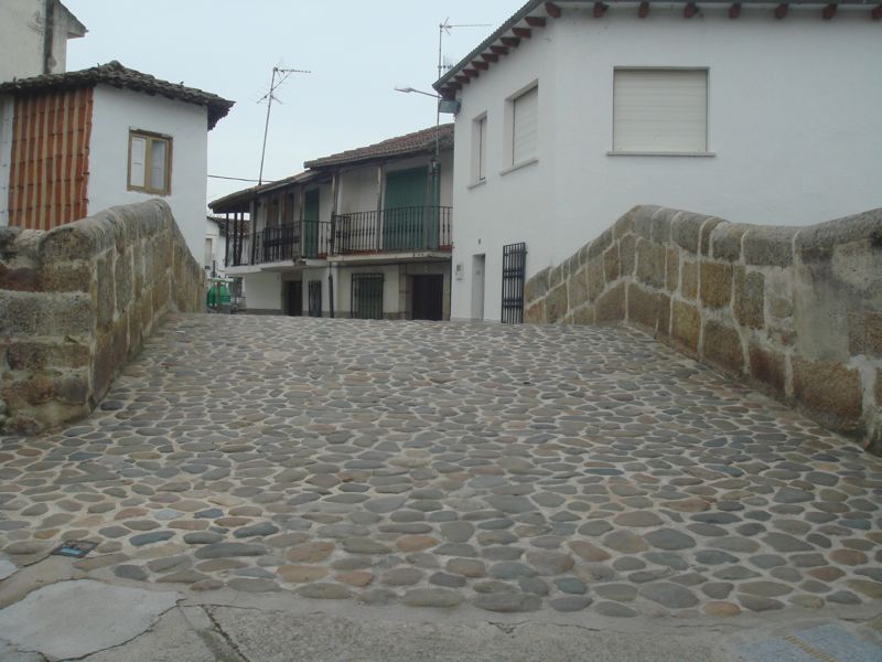 DSC07155