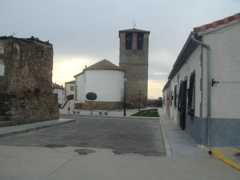 DSC07175