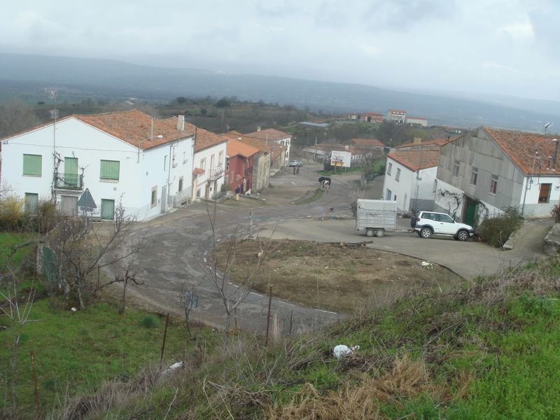 DSC07183