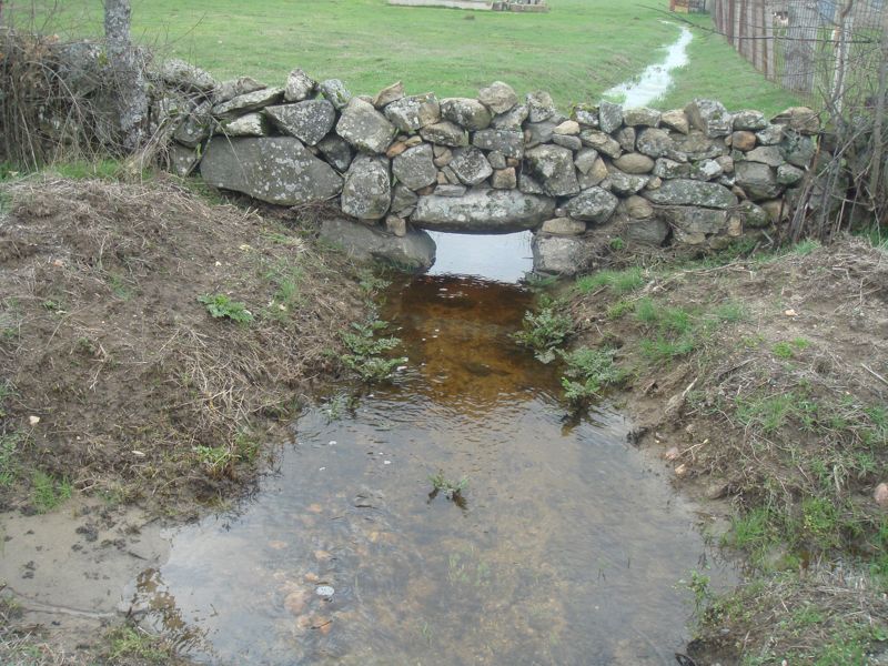DSC07186