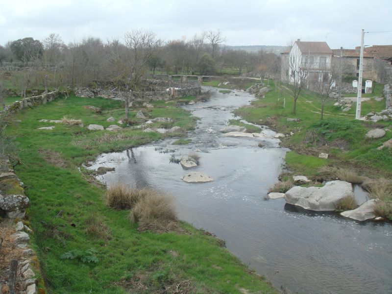 DSC07190