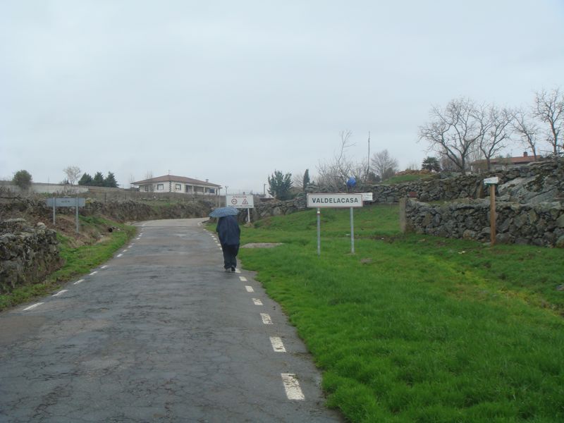DSC07195