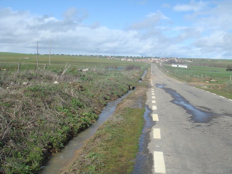 DSC07207