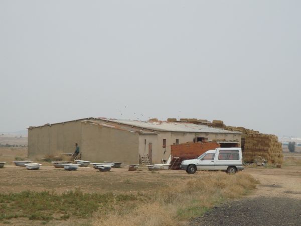 DSC07685
